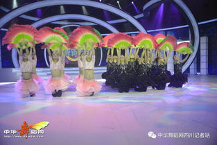 舞韵绽芳华，星光启航艺术培训学校携《陌上花开》亮相四川广播电视台超级新秀场