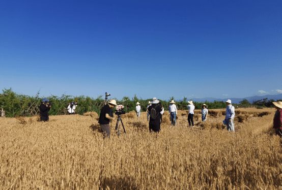 《追赶超越谱新篇》 陕西广电理论节目创新表达的探索与实践